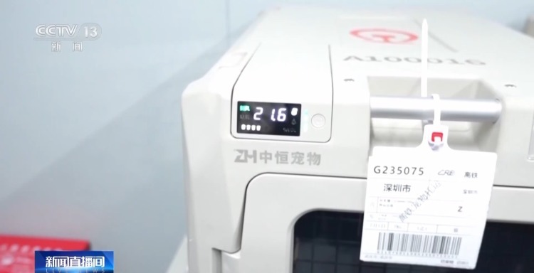 高铁航空齐推宠物托运服务!@爱宠人士 这些要求看过来 高铁航空齐推宠物托运服务!@爱宠人士 这些要求看过来