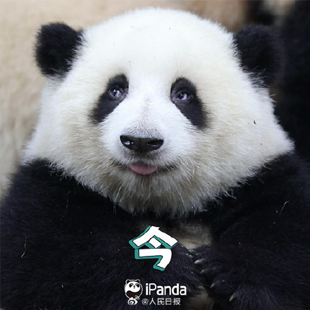 送祝福！花花和叶5岁生日快乐