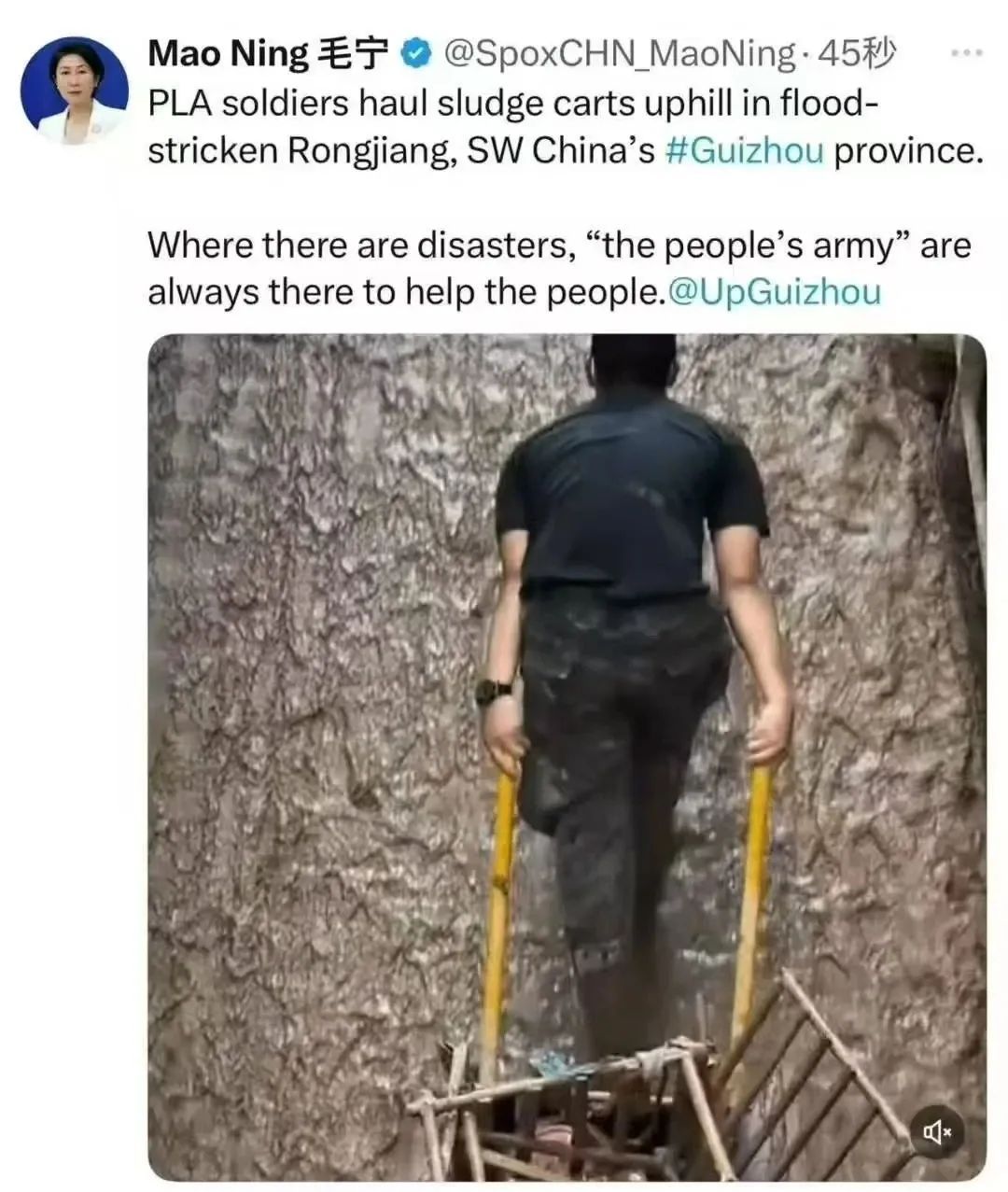 终于找到你了!这个背影让无数网友泪目 终于找到你了!这个背影让无数网友泪目