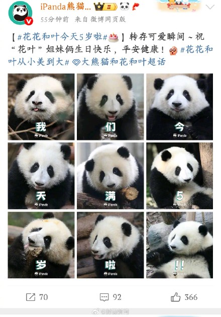 萌兰、花花、和叶生日萌度超标 萌兰、花花、和叶生日萌度超标