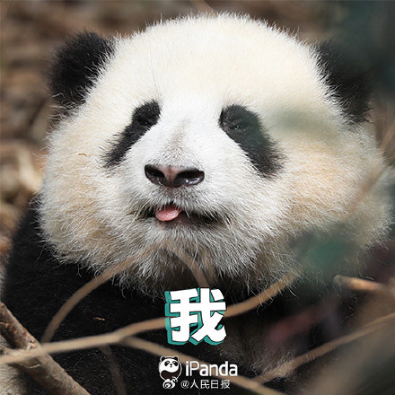 送祝福！花花和叶5岁生日快乐