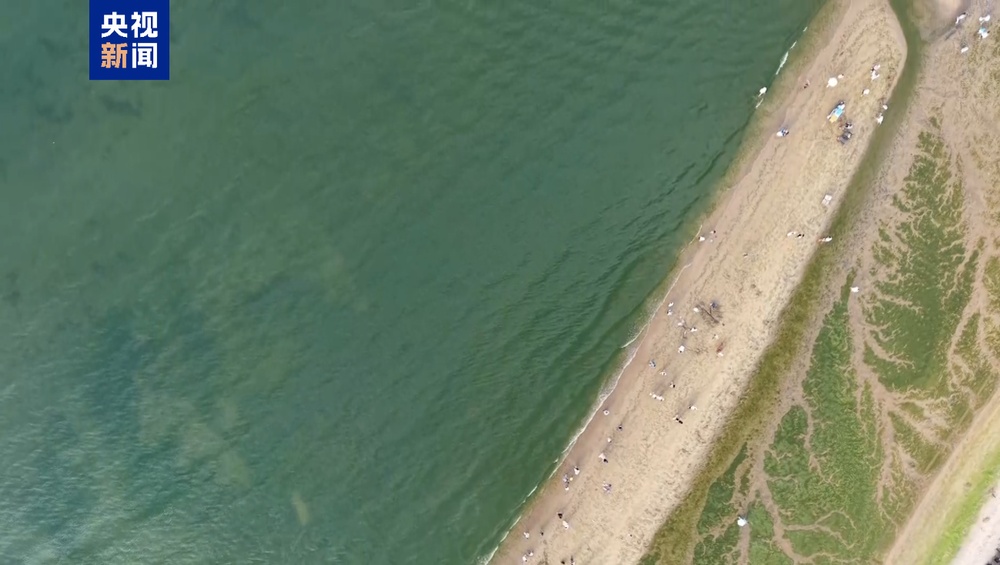 海面变“草原”?山东烟台部分海域爆发浒苔 专家详解成因 海面变“草原”?山东烟台部分海域爆发浒苔 专家详解成因