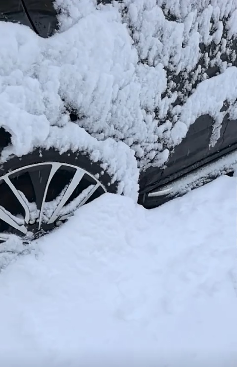 7月大雪纷飞！青海祁连大草原一夜白雪皑皑，南方网友直呼：想把太阳一脚踢给你