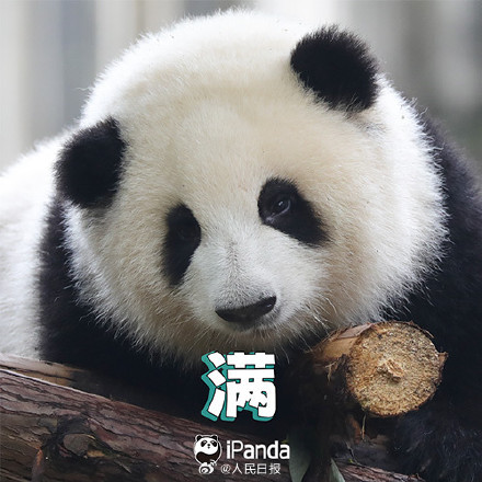 送祝福！花花和叶5岁生日快乐