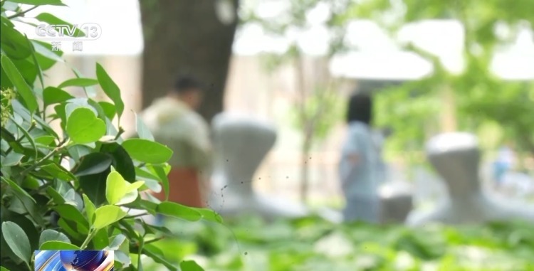 重疾险遭拒赔，附加条款“坑”在哪？