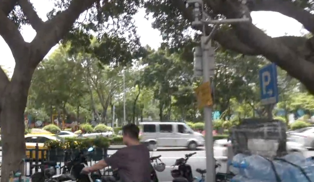 广州天河CBD有蛇出没,繁华闹市都有蛇?回应来了 广州天河CBD有蛇出没,繁华闹市都有蛇?回应来了