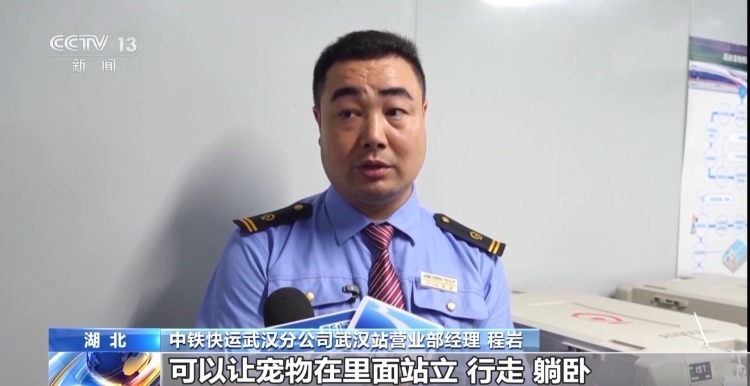 高铁航空齐推宠物托运服务!@爱宠人士 这些要求看过来 高铁航空齐推宠物托运服务!@爱宠人士 这些要求看过来