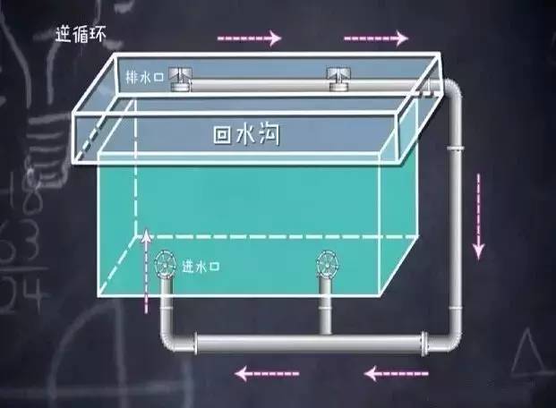 男孩整条腿被泳池死死“咬住”!紧急提醒:不要靠近 男孩整条腿被泳池死死“咬住”!紧急提醒:不要靠近