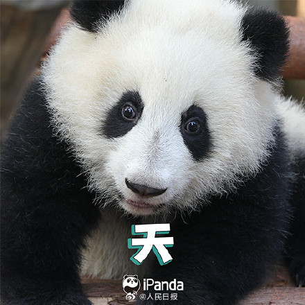 送祝福！花花和叶5岁生日快乐