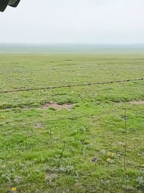 7月大雪纷飞！青海祁连大草原一夜白雪皑皑，南方网友直呼：想把太阳一脚踢给你