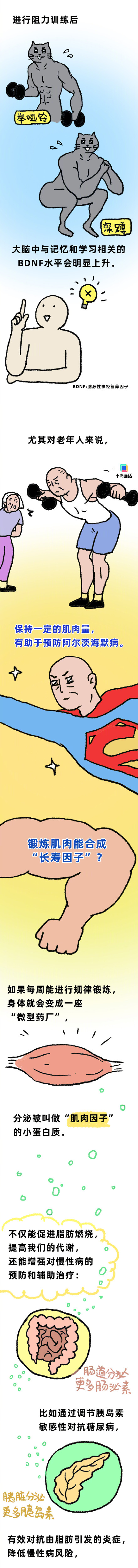 锻炼大腿肌肉会让头脑更清醒
