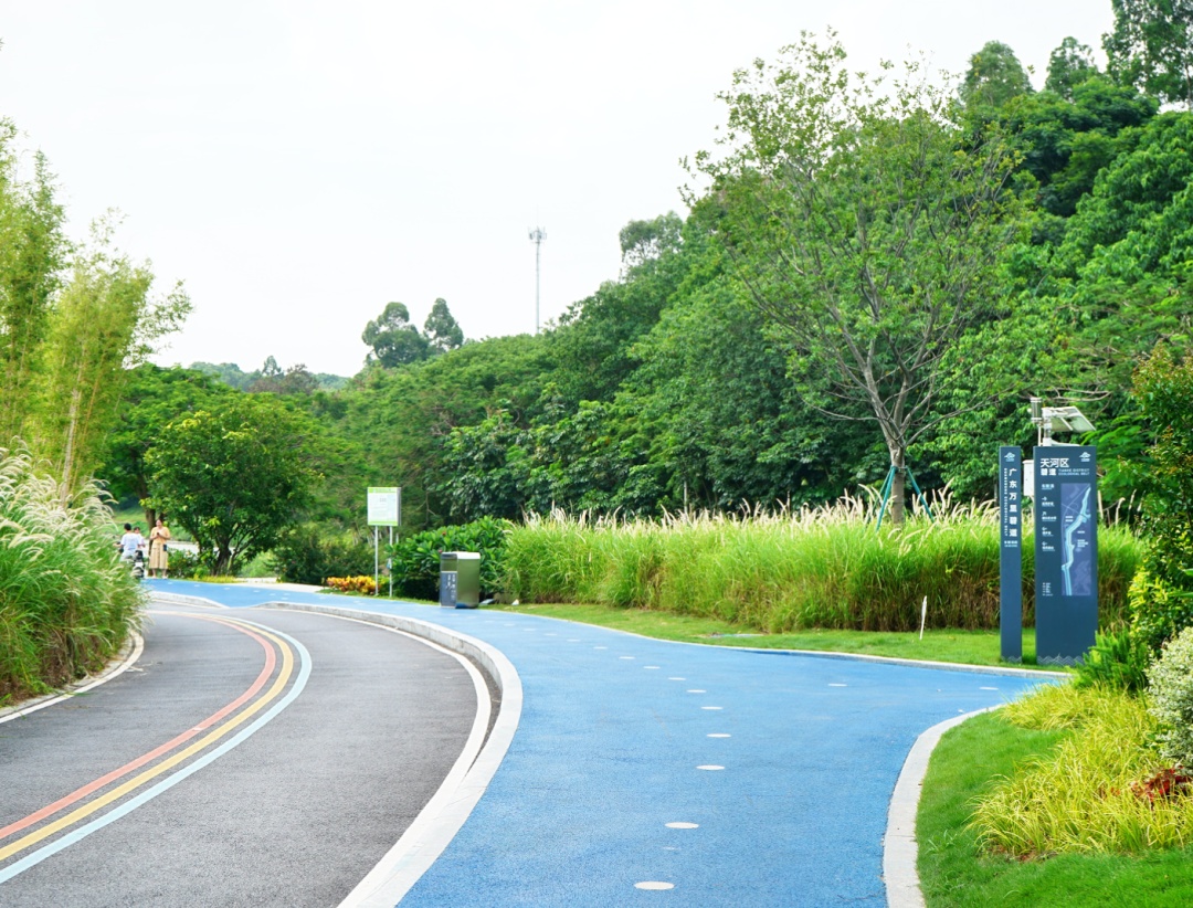 广州市中心又有一个“网红”打卡点?官方提醒:有风险 广州市中心又有一个“网红”打卡点?官方提醒:有风险