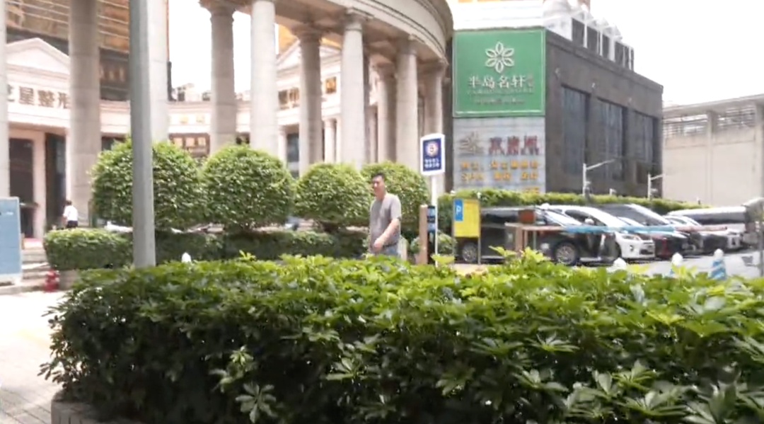 广州天河CBD有蛇出没,繁华闹市都有蛇?回应来了 广州天河CBD有蛇出没,繁华闹市都有蛇?回应来了