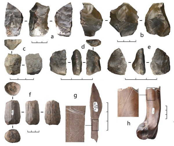 世界罕见!云南出土30万年前木器! 世界罕见!云南出土30万年前木器!