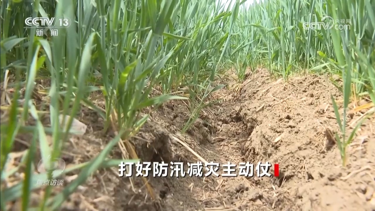 焦点访谈｜应对汛期极端天气 多措并举筑牢安全防线