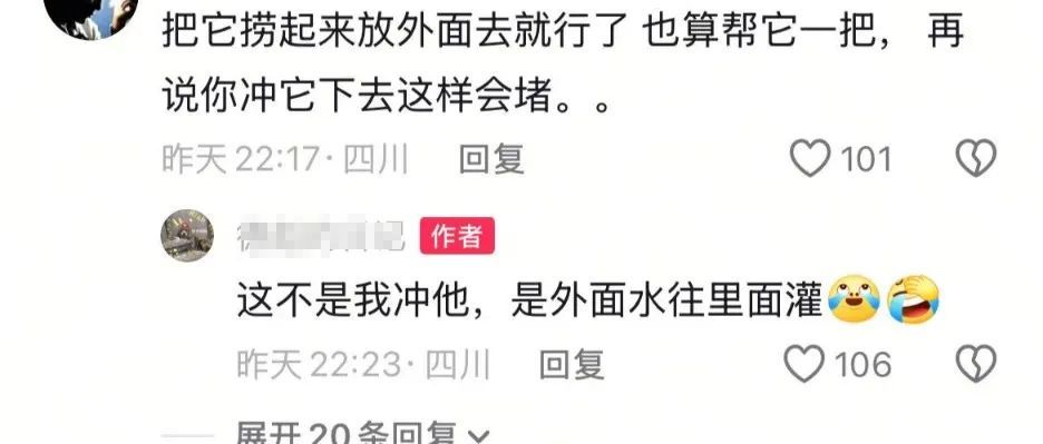 “别录了快拉我一把”,成都暴雨网友拍到青蛙被困厕所,拍摄者:后面应该逃走了 “别录了快拉我一把”,成都暴雨网友拍到青蛙被困厕所,拍摄者:后面应该逃走了