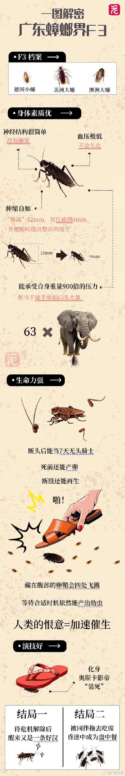 蟑螂繁殖高峰到!广东人又崩溃了,更让人受不了的是打不死 蟑螂繁殖高峰到!广东人又崩溃了,更让人受不了的是打不死