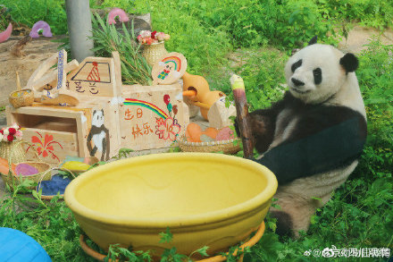 萌兰花花和叶三熊生日快乐