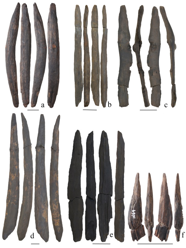 世界罕见!云南出土30万年前木器! 世界罕见!云南出土30万年前木器!