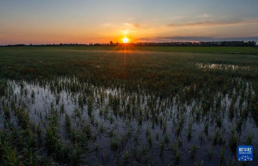 星空相册|年度“最小太阳”登场 星空相册|年度“最小太阳”登场