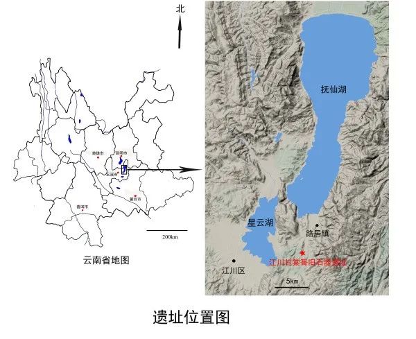 世界罕见!云南出土30万年前木器! 世界罕见!云南出土30万年前木器!