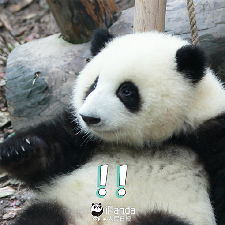 送祝福！花花和叶5岁生日快乐