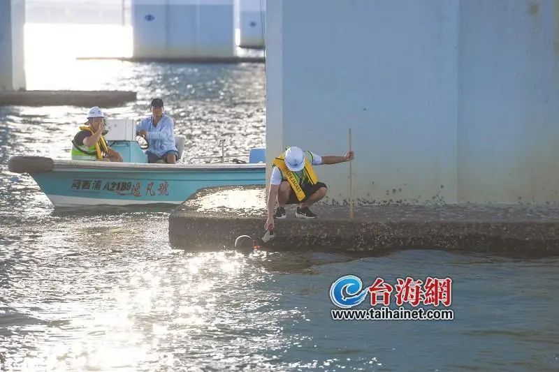 全副武装“蛙人”潜入厦门海底，拍下关键画面……