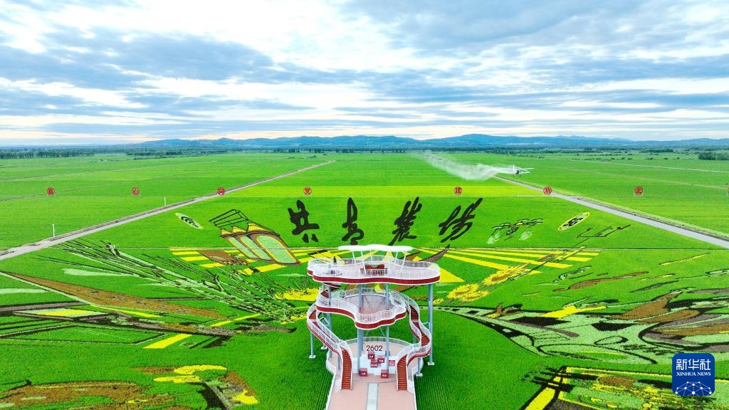 “北大仓”铺展壮美稻田画卷 “北大仓”铺展壮美稻田画卷