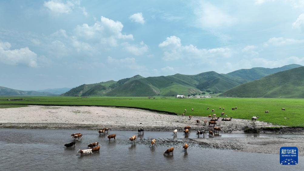 美丽中国｜醉美夏日乌兰毛都草原