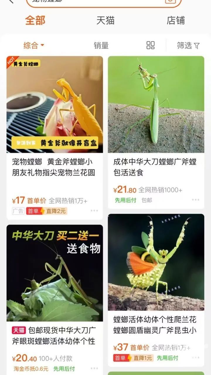 蟑螂当宠物？！异宠盛行，有人过道喷杀虫剂，意外杀死邻居“爱宠”……