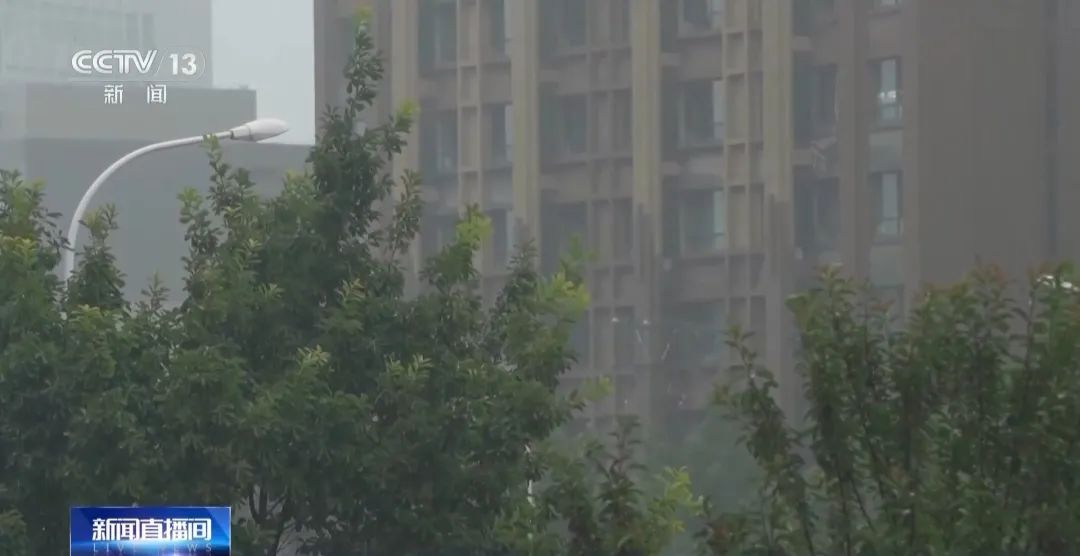 大连一夜闪电7649次，专家提醒