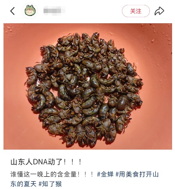 有人一天净赚2000元！近期大量出现，不少人夜晚出动……