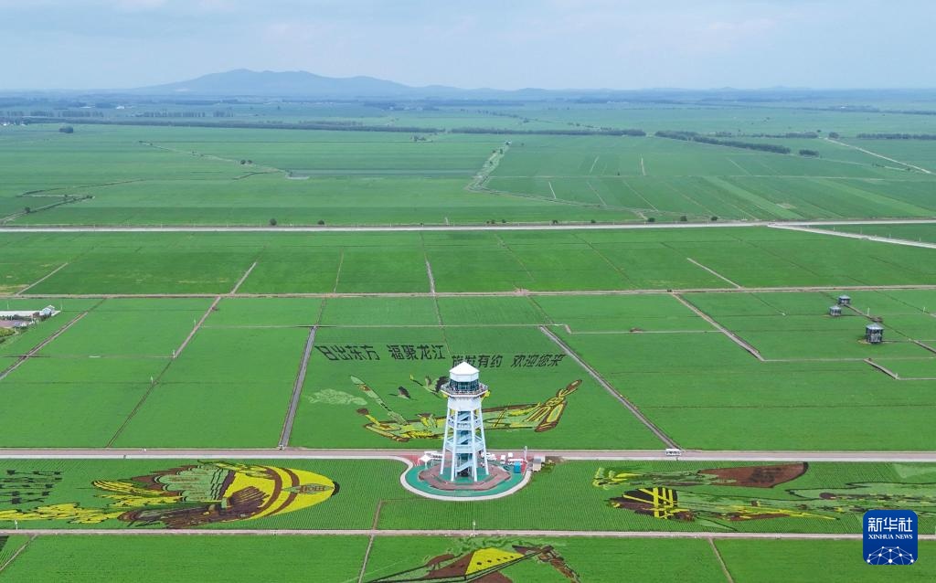 “北大仓”铺展壮美稻田画卷 “北大仓”铺展壮美稻田画卷