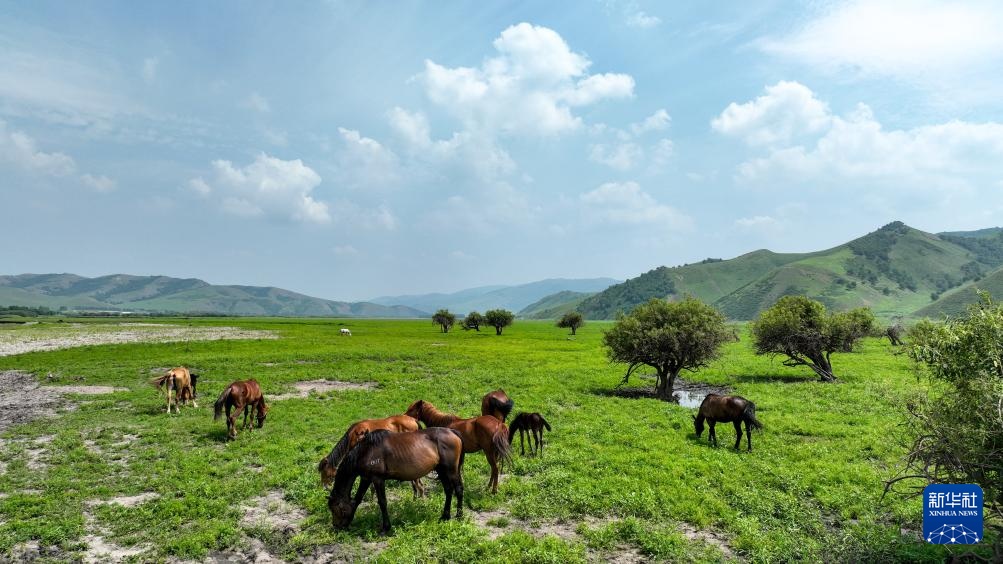 美丽中国｜醉美夏日乌兰毛都草原