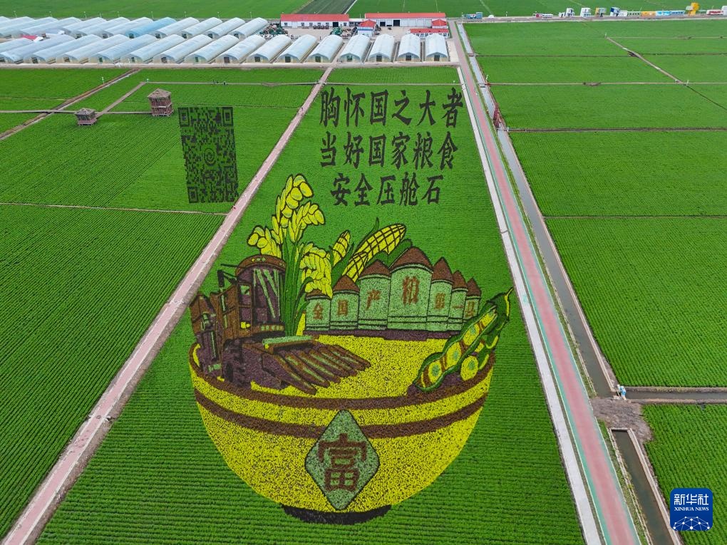 “北大仓”铺展壮美稻田画卷 “北大仓”铺展壮美稻田画卷