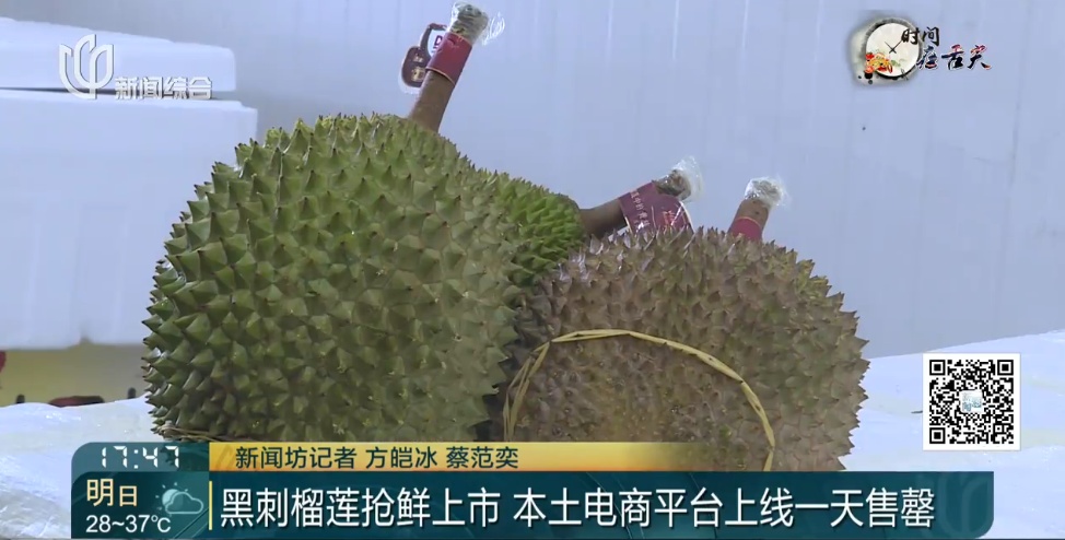 价格大跳水！"腰斩再腰斩"