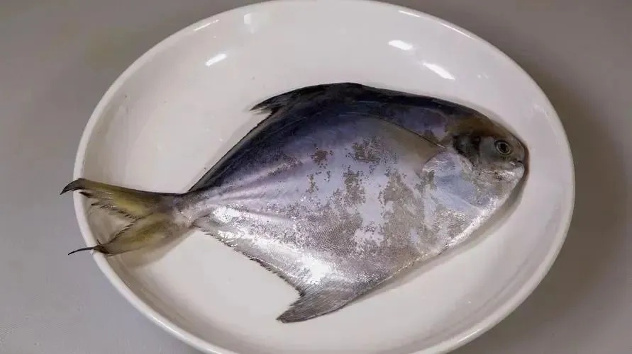 戴手套!戴手套!浙江男子9天离世,死亡率近100% 戴手套!戴手套!浙江男子9天离世,死亡率近100%