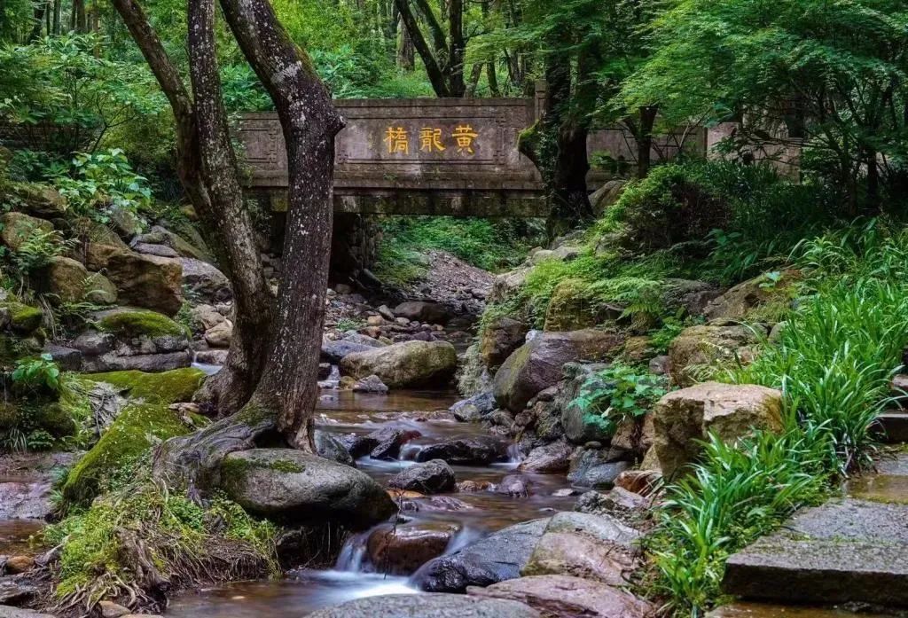 浙江34个市县启动高温橙色预警信号！“浙”些地方自带空调模式