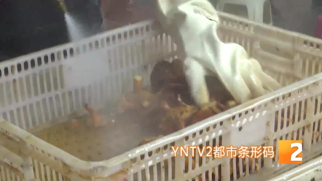 旺季一天洗几百上千公斤！云南人“吃出来”的职业开始接单了