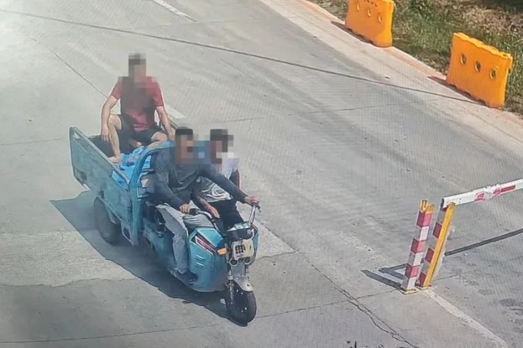 这瓜“好吃”！东营公安：三名“偷瓜贼”被抓！