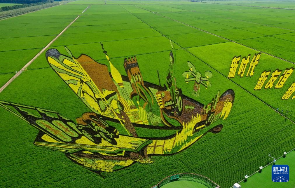“北大仓”铺展壮美稻田画卷 “北大仓”铺展壮美稻田画卷