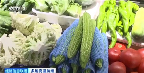 面对夏日“烤”验 上海时令蔬菜、海鲜供应平稳 面对夏日“烤”验 上海时令蔬菜、海鲜供应平稳