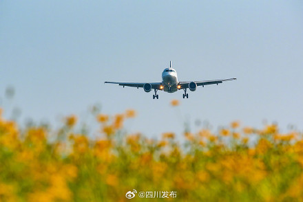 今起国内航线燃油附加费上调