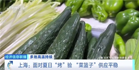 面对夏日“烤”验 上海时令蔬菜、海鲜供应平稳 面对夏日“烤”验 上海时令蔬菜、海鲜供应平稳