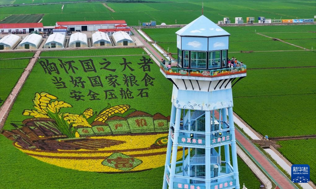 “北大仓”铺展壮美稻田画卷 “北大仓”铺展壮美稻田画卷