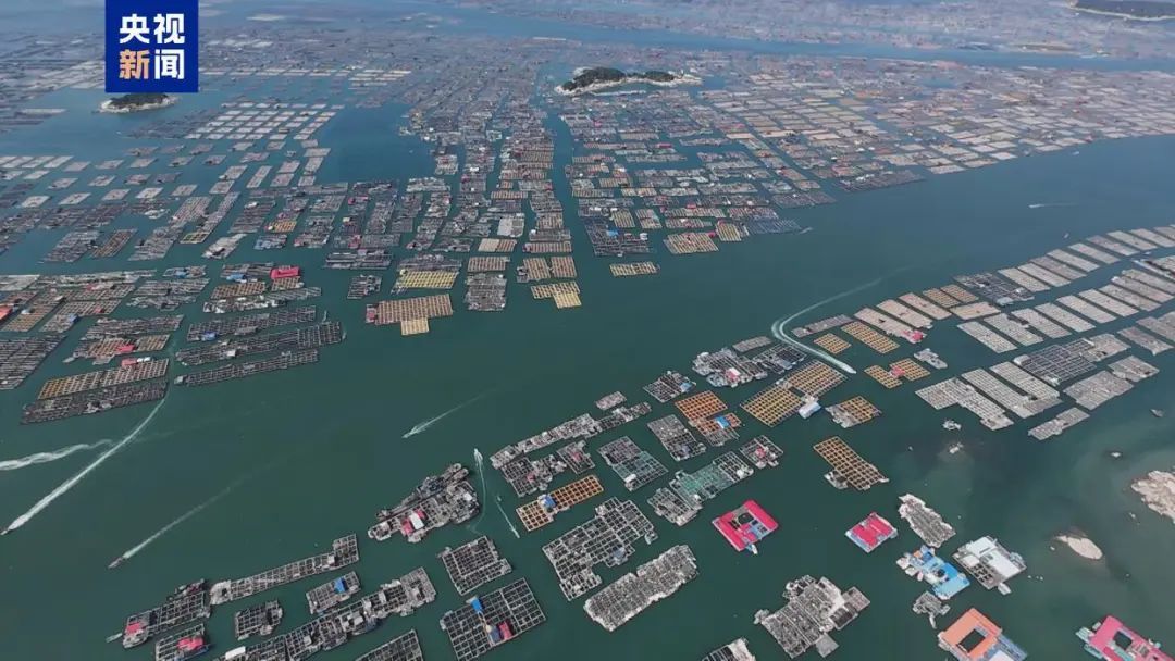 台风“丹娜丝”生成，多地大到暴雨！后期路径“奇葩”：将90度拐弯！对上海有影响吗？