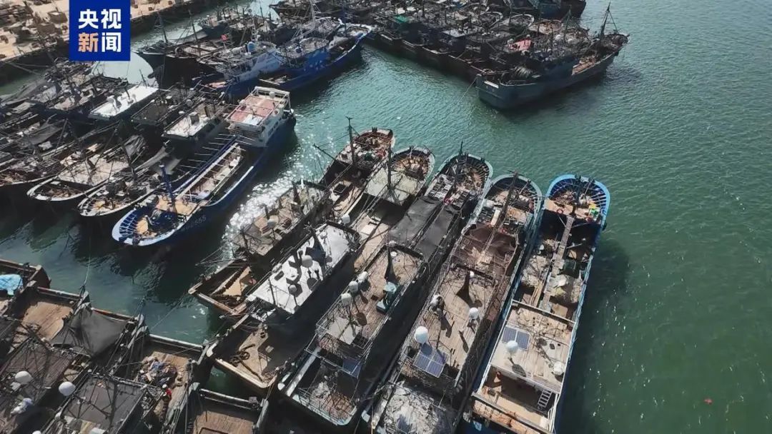 台风“丹娜丝”生成，多地大到暴雨！后期路径“奇葩”：将90度拐弯！对上海有影响吗？