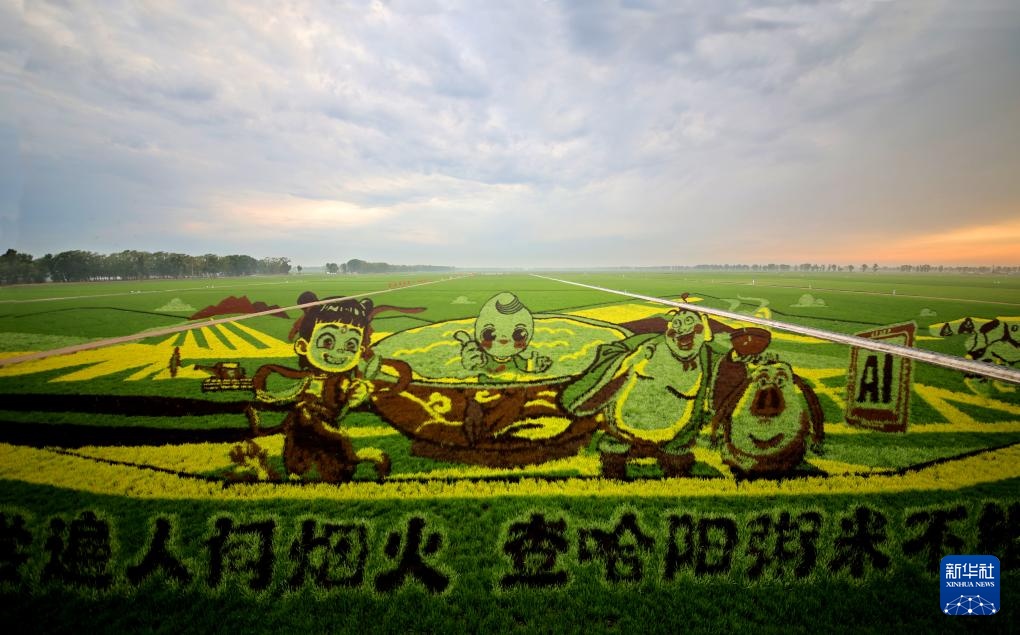 “北大仓”铺展壮美稻田画卷 “北大仓”铺展壮美稻田画卷