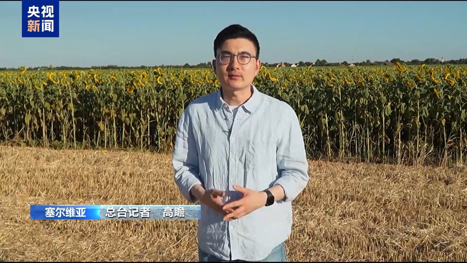 受极端高温天气影响 塞尔维亚农作物可能大幅减产