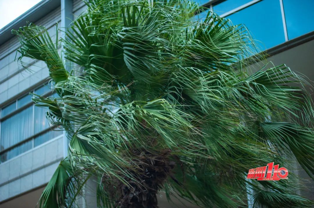 台风“丹娜丝”生成！向福建靠近！即将影响福州……